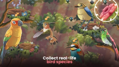 Bird Kind screen 3