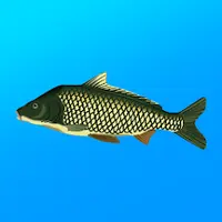 Реальная Рыбалка [ВЗЛОМ: Премиум] v 1.19.2.923