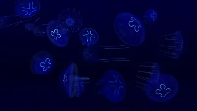 Fish Farm 3 - Aquarium screenshot №5